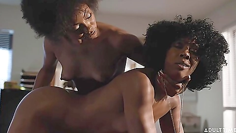 Two Passionate Black Bitches Fucking In The Office - Cali Caliente And Misty Stone Two Passionate Black Bitches Fucking In The Office - Cali Caliente And Misty Stone
