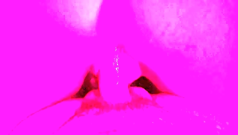 Fisting Milf = Creamy Dilf